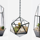 Illustration for article titled Geometric Terrariums Are a Gorgeous Excuse to Buy a Cactus